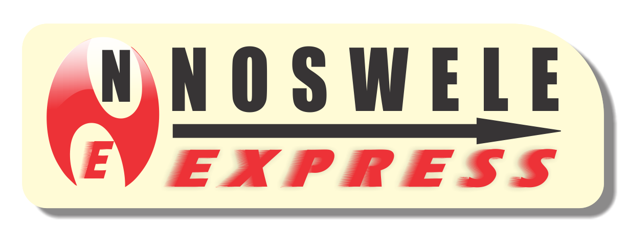 NOSWELE EXPRESS STORE logo